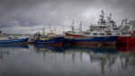 EU, Norway seal bilateral fishing agreement, five-year deal with Faroes on mackerel