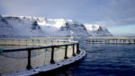 Iceland salmon farm. Credit: Bjorgvin Thor Bjorgvinsson of Islandsstofa