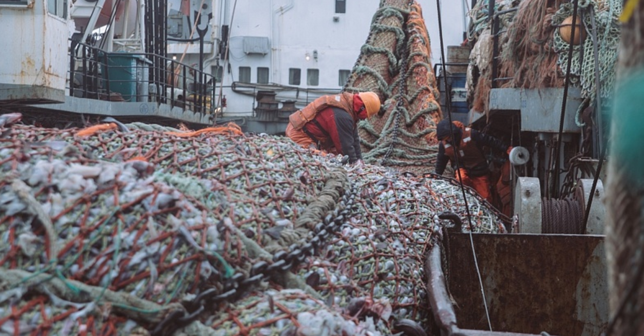 Russian Fishery Company pollock