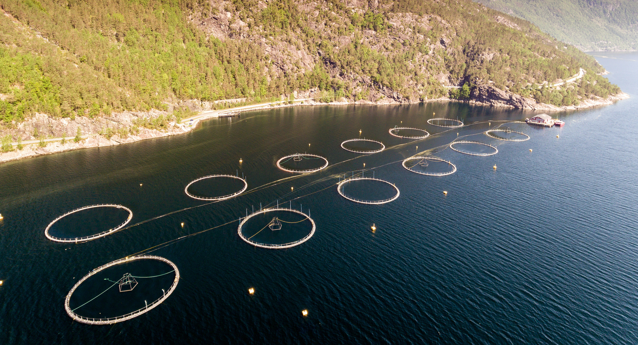 A salmon farm in Norway. Credit: UBC Stock/Shutterstock.com