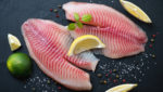 Fresh tilapia fillets. Credit: Nickola_Che/Shutterstock.com