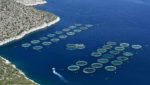 Seabass and sea bream farm near Peloponnese, Greece. Credit: Dimitrina Lavchieva/Shutterstock.com