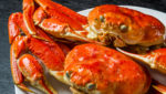 Snow crabs. Credit: norikko/Shutterstock.com