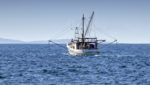 Trawler vessel at sea near Port Stephens, New South Wales, Australia. Credit: Anne Powell/Shutterstock