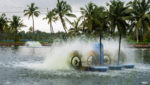 India shrimp farm Indian Credit: Lloyd Vas/Shutterstock, https://www.shutterstock.com/image-photo/chinchinim-goaindia-july-29-2018-manmade-1146036374