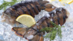 Raw lobster tails on ice. Credit Fisher King Seafoods