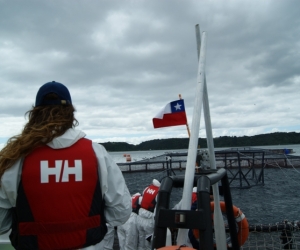 Cermaq Chile coho farm