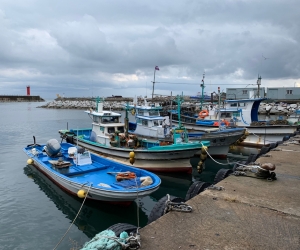 Donghae STP operate a number of vessels from a boatyard in Goseong in northeast South Korea to manage the company’s offshore farming operation.